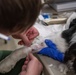 Operation Healthy Tennessee Veterinarian Services