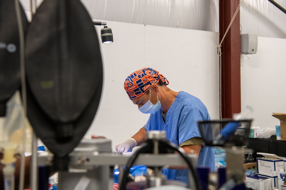 Operation Healthy Tennessee Veterinarian Services