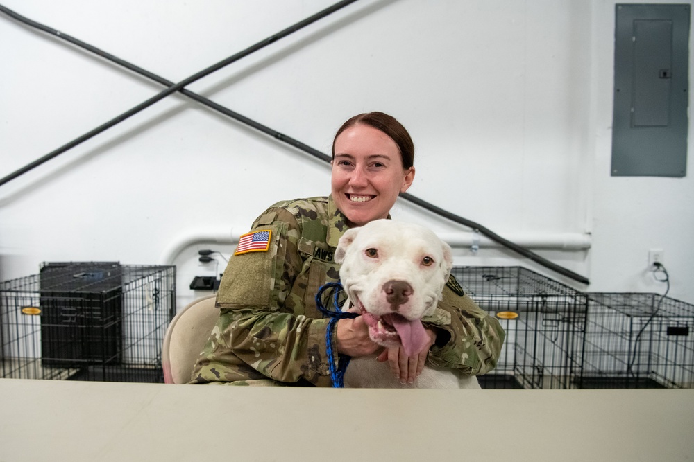 Operation Healthy Tennessee Veterinarian Services