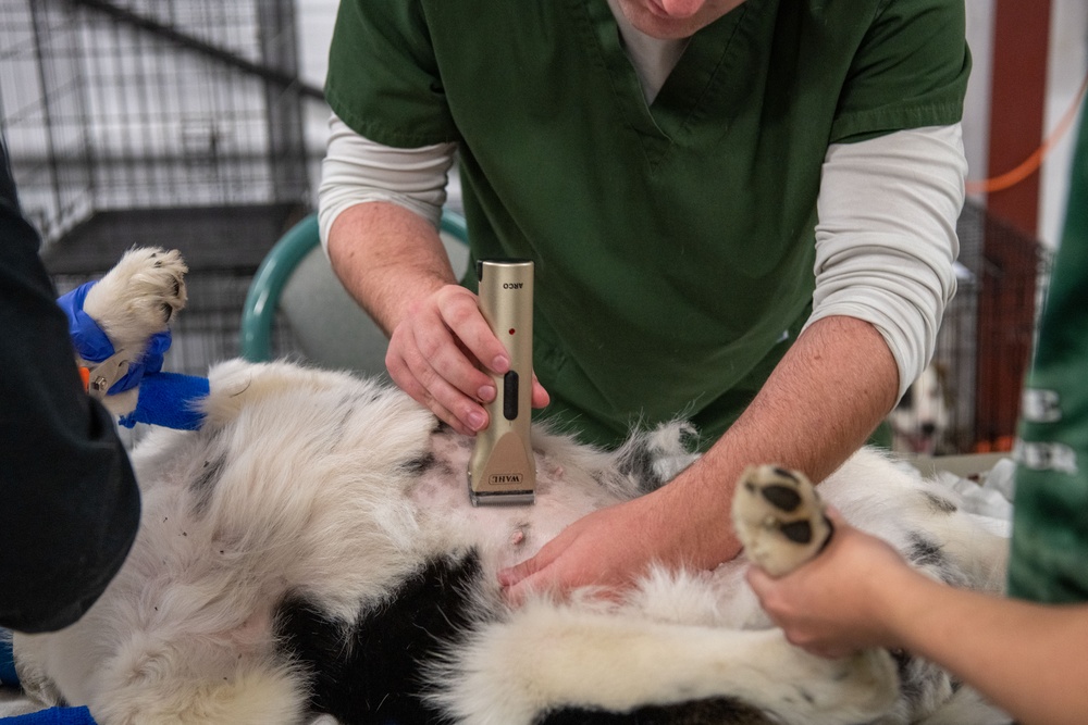 Operation Healthy Tennessee Veterinarian Services