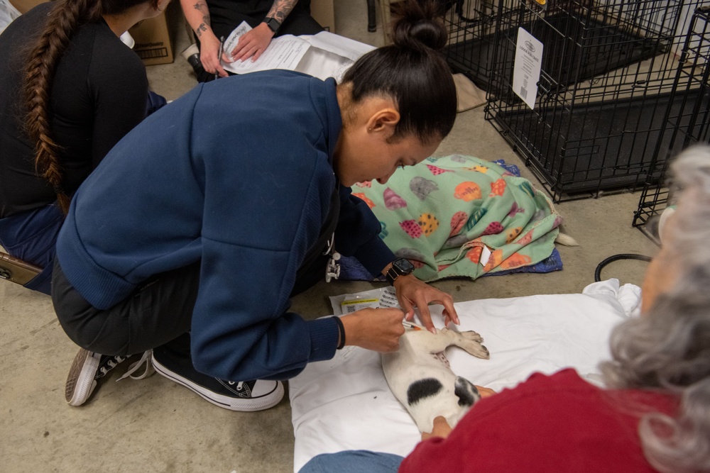 Operation Healthy Tennessee Veterinarian Services