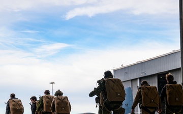 Talisman Sabre 25: Special Tactics Airmen perform Military Free Fall