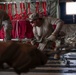 327th Airlift Squadron Does The Heavy Lifting During The Air Force's Department Level Exercise