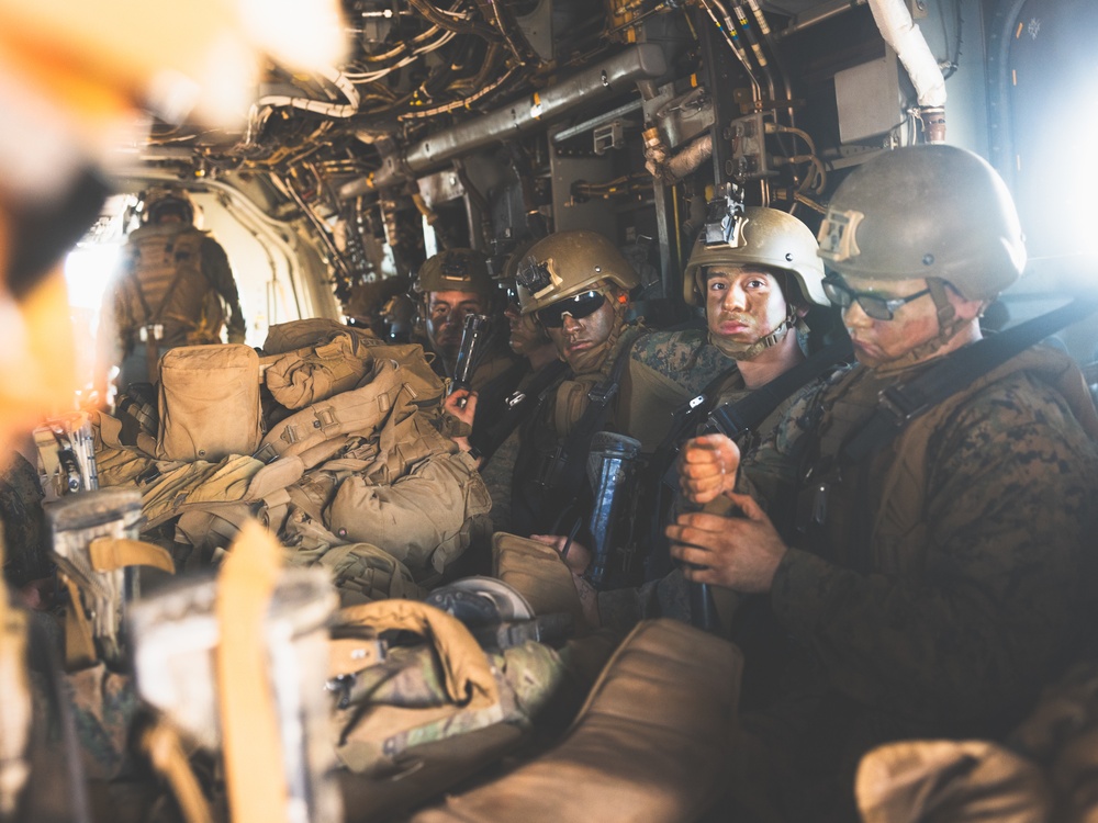 Talisman Sabre 25: U.S. Marines, sailors with 2nd Bn., 1st Marines, MRF-D 25.3 conduct airfield seizure