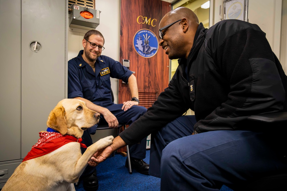 USS Gerald R. Ford (CVN 78) Expeditionary Facility Working Dog Greets Sailors