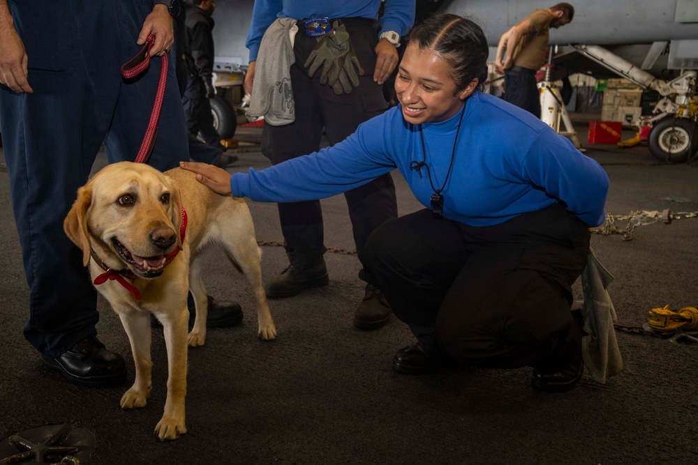 USS Gerald R. Ford (CVN 78) Expeditionary Facility Working Dog Greets Sailors