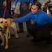 USS Gerald R. Ford (CVN 78) Expeditionary Facility Working Dog Greets Sailors