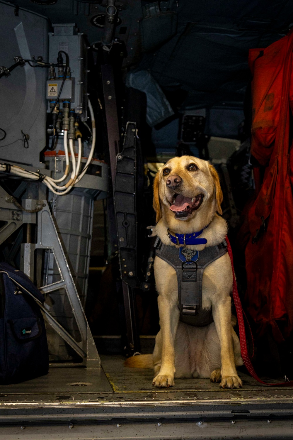 USS Gerald R. Ford (CVN 78) Expeditionary Facility Working Dog Greets Sailors
