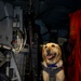 USS Gerald R. Ford (CVN 78) Expeditionary Facility Working Dog Greets Sailors