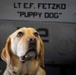 USS Gerald R. Ford (CVN 78) Expeditionary Facility Working Dog Greets Sailors