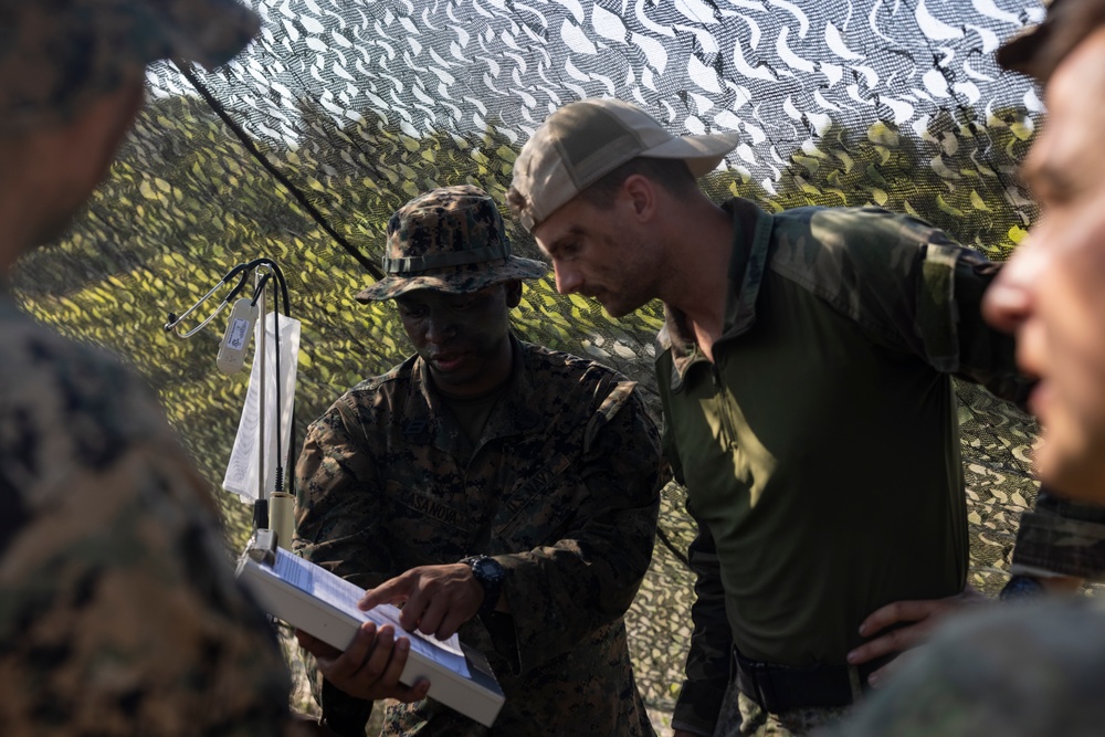 Atlantic Alliance 2025 Corpsmen Mass Casualty Drill