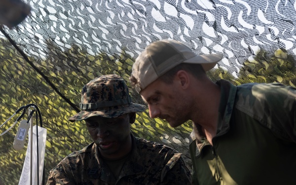 Atlantic Alliance 2025 Corpsmen Mass Casualty Drill