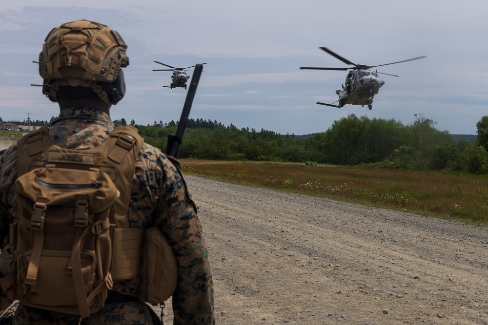 Atlantic Alliance 2025 2d Battalion, 6th Marine Regiment Air Assault