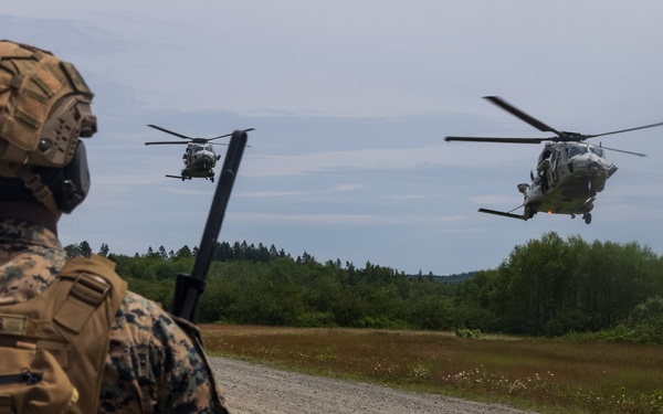 Atlantic Alliance 2025 2d Battalion, 6th Marine Regiment Air Assault