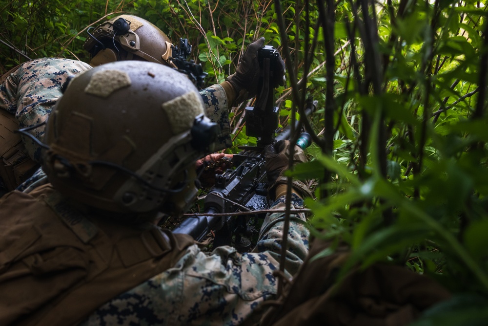 Atlantic Alliance 2025 2d Battalion, 6th Marine Regiment Air Assault