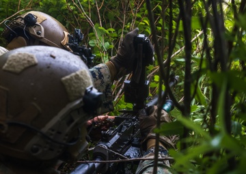 Atlantic Alliance 2025 2d Battalion, 6th Marine Regiment Air Assault