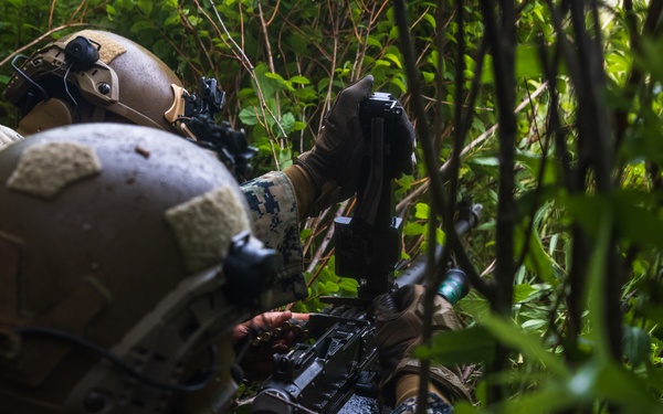 Atlantic Alliance 2025 2d Battalion, 6th Marine Regiment Air Assault