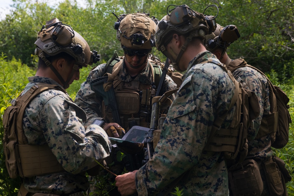 Atlantic Alliance 2025 2d Battalion, 6th Marine Regiment Air Assault