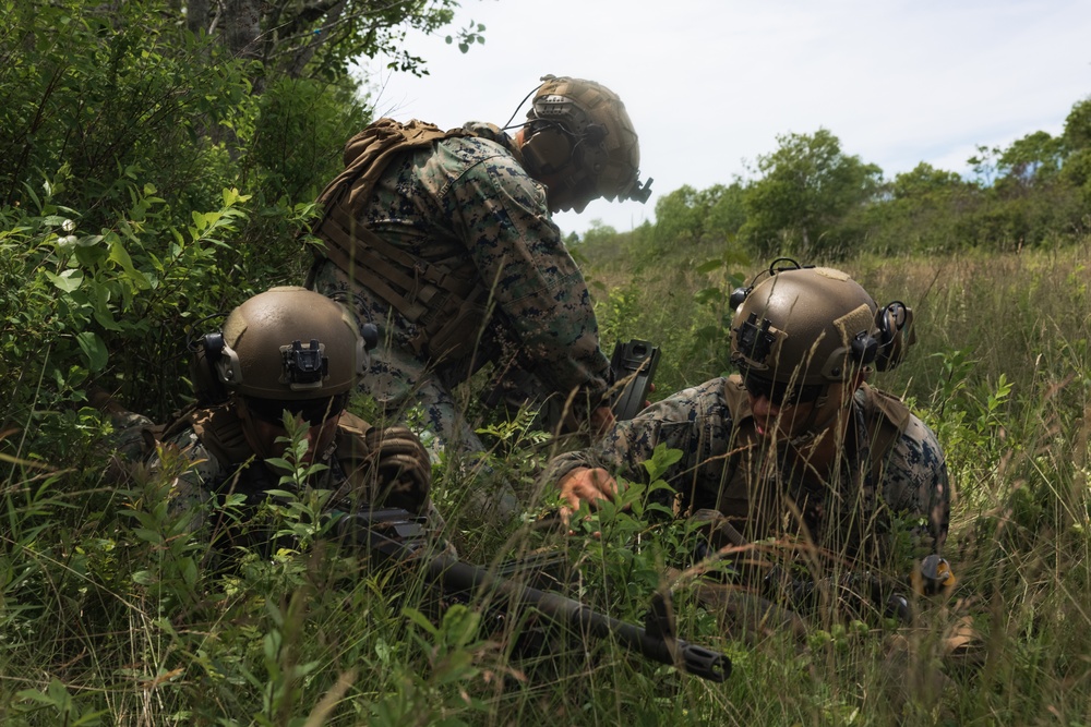 Atlantic Alliance 2025 2d Battalion, 6th Marine Regiment Air Assault