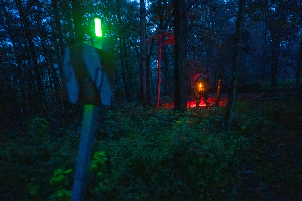 Red Light Green Light
