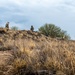 355th Civil Engineer Squadron Emergency Management Airmen conducted contamination survey training
