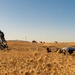 Team Travis boosts readiness during Exercise