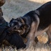 Team Travis boosts readiness during Exercise