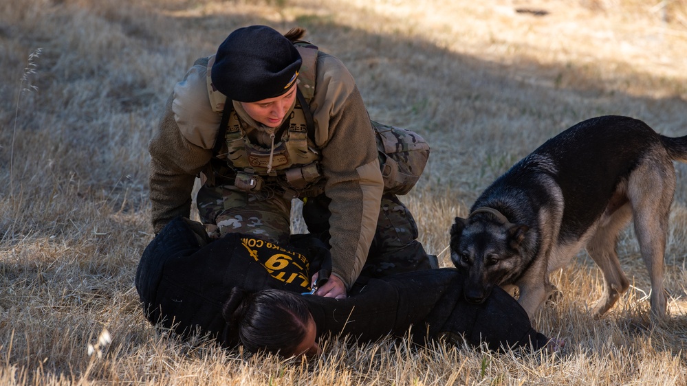 Team Travis boosts readiness during Exercise