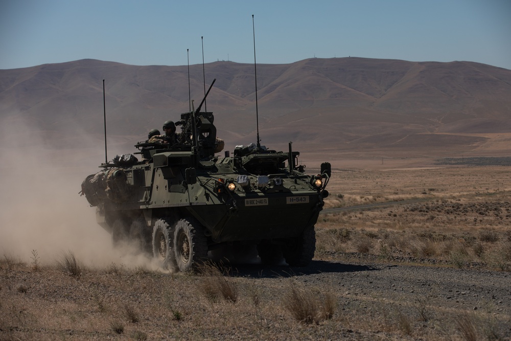 1-82nd Cavalry Regiment Conducts Annual Training