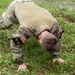 2025 National Best Warrior Competition