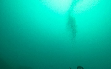 3d Reconnaissance Battalion Marines Conduct Search and Recovery Dive Drills