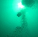 3d Reconnaissance Battalion Marines Conduct Search and Recovery Dive Drills