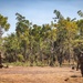 Talisman Sabre 25: 3rd Bn., 11th Marines, MRF-D 25.3, execute Urban Operations Training Facility Live Fire