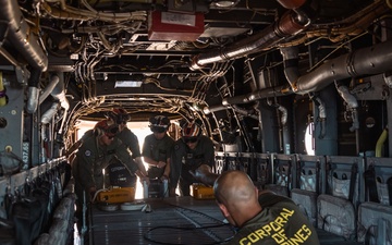 Talisman Sabre 25: Marines conduct loading drills with Marine Adjustable Cargo Trailer