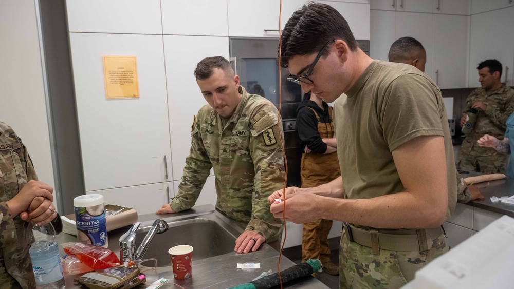 52nd Medical Group Sharpens Skills in Canine Combat Care