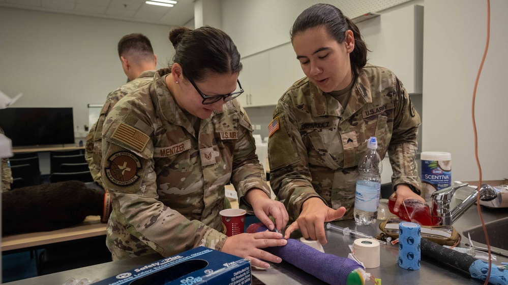 52nd Medical Group Sharpens Skills in Canine Combat Care