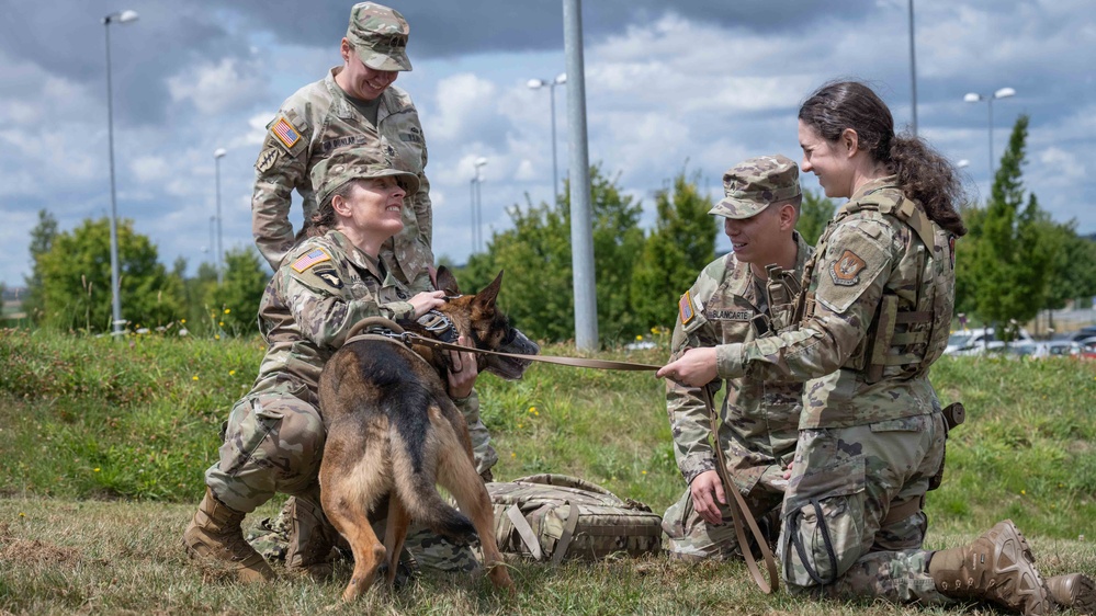 52nd Medical Group Sharpens Skills in Canine Combat Care
