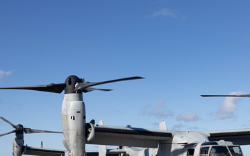 31st MEU | VMM 265 (Rein.) conducts flight operations during Talisman Sabre 25