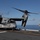 31st MEU | VMM 265 (Rein.) conducts flight operations during Talisman Sabre 25