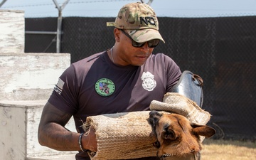 Military Working Dogs Bite Suit Training