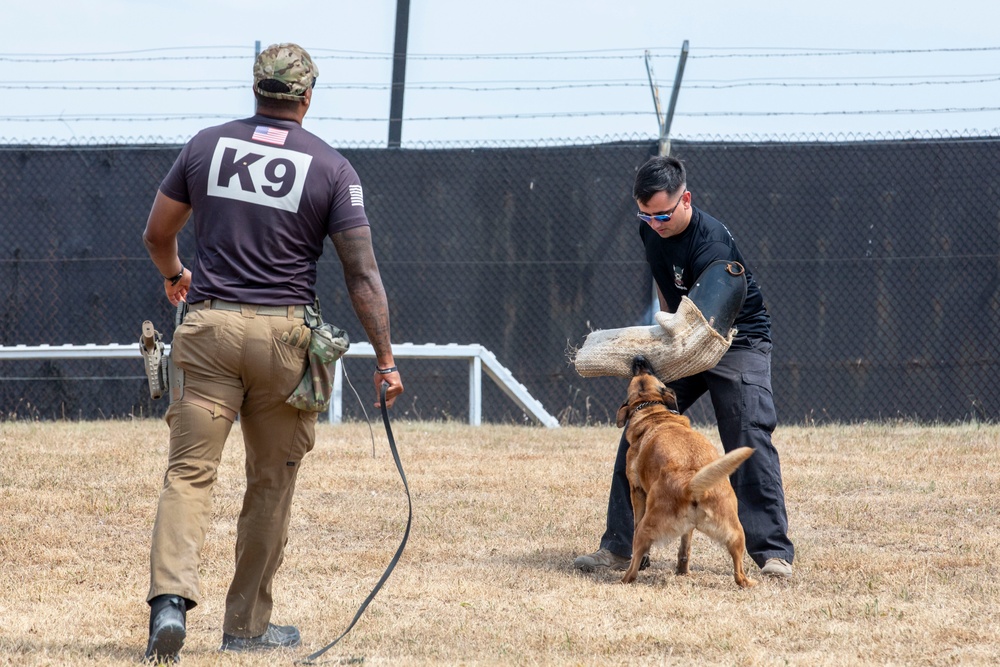 A K9 unit training exercise is taking place in an outdoor fenced area. A handler wearing a 'K9' shirt with a US flag patch observes while holding a leash, as a second person wearing a protective bite sleeve engages with a medium-sized tan dog. The dog appears to be practicing a bite apprehension drill on the padded sleeve.