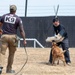 A K9 unit training exercise is taking place in an outdoor fenced area. A handler wearing a 'K9' shirt with a US flag patch observes while holding a leash, as a second person wearing a protective bite sleeve engages with a medium-sized tan dog. The dog appears to be practicing a bite apprehension drill on the padded sleeve.