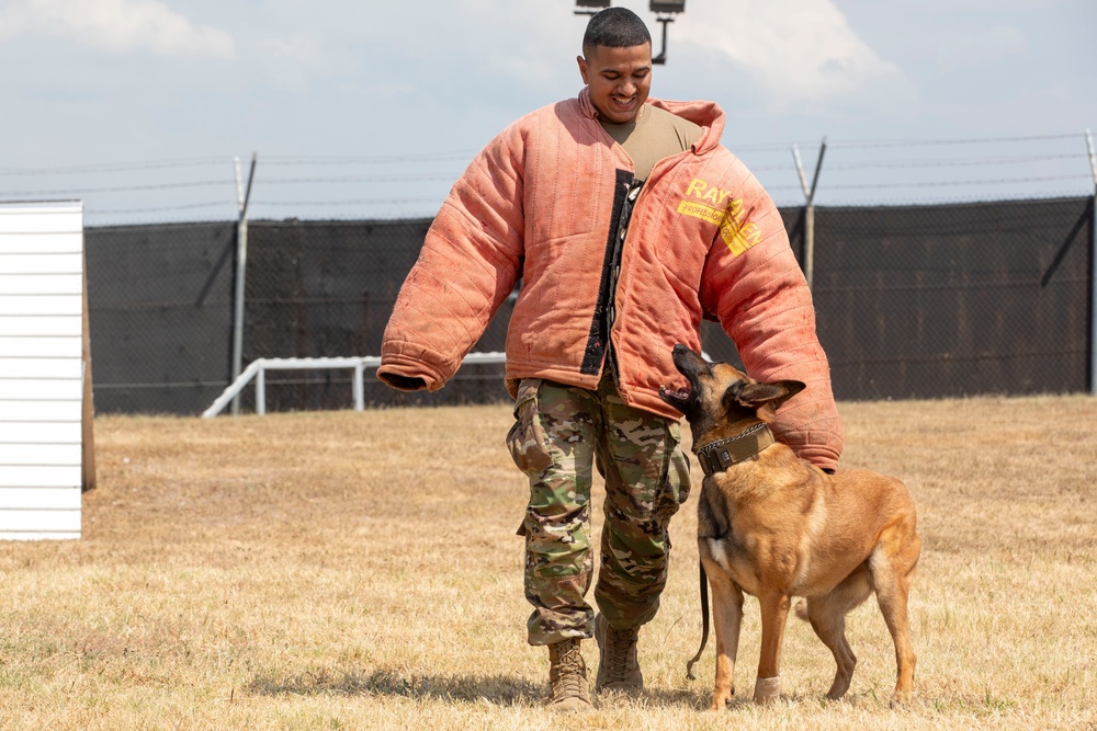 Military Working Dogs Bite Suit Training