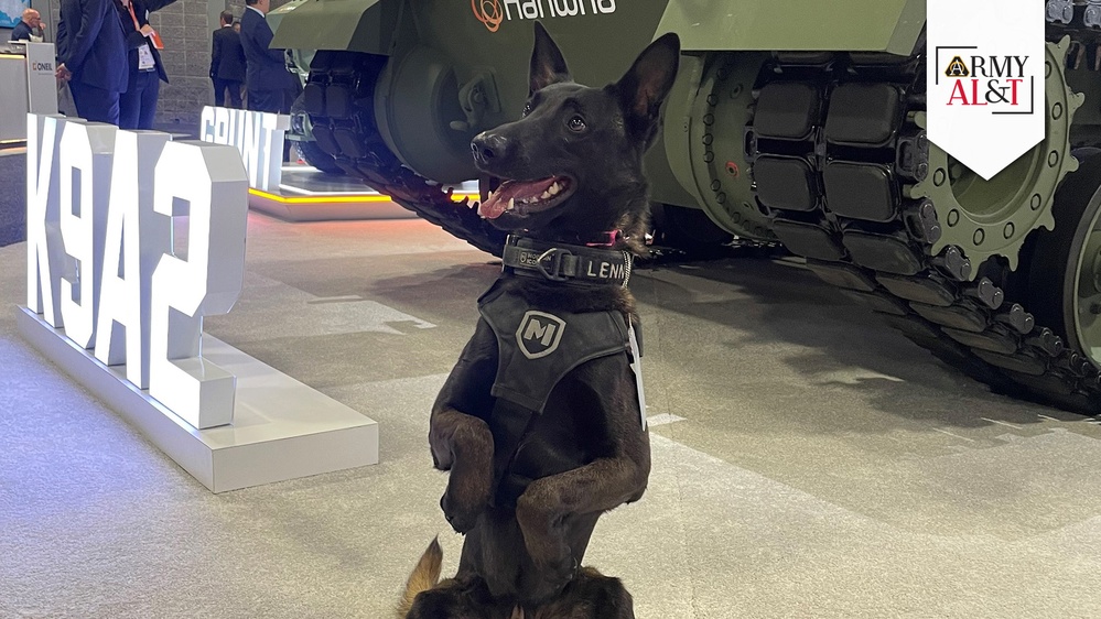 GOOD BOY