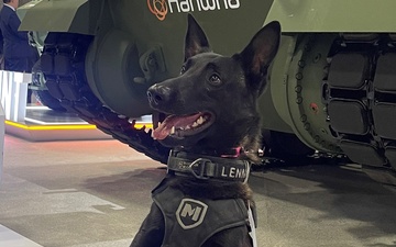 DOGS ON DUTY