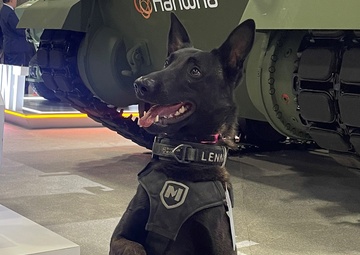 DOGS ON DUTY