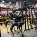 WORKING LIKE A DOG