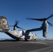 31st MEU | VMM 265 (Rein.) conducts flight operations during Talisman Sabre 25
