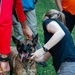 K9 Tactical Emergency Casualty Care Training Strengthens U.S.-Bosnia Partnership