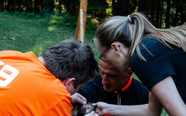 K9 Tactical Emergency Casualty Care Training Strengthens U.S.-Bosnia Partnership